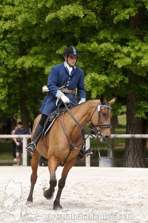 CFCC-2019-00386