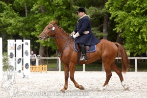 CFCC-2019-00396