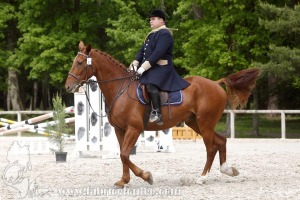 CFCC-2019-00397