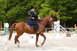CFCC-2019-00403