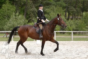 CFCC-2019-00411
