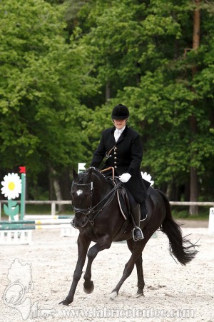 CFCC-2019-00420