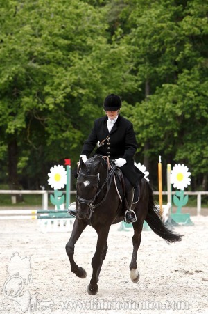 CFCC-2019-00421