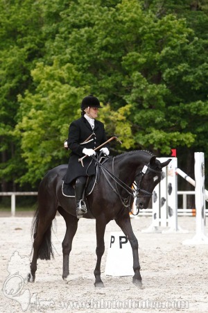 CFCC-2019-00426