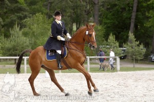 CFCC-2019-00433