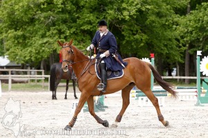 CFCC-2019-00448