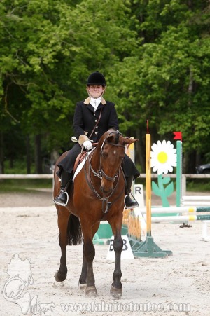 CFCC-2019-00462
