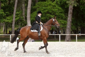 CFCC-2019-00471
