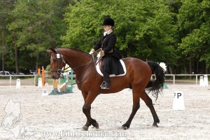 CFCC-2019-00478