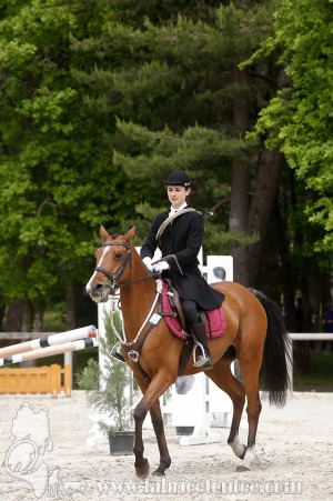 CFCC-2019-00482