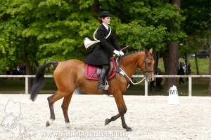 CFCC-2019-00490