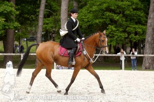 CFCC-2019-00491