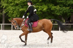 CFCC-2019-00493