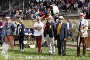 CFCC-2019-01640