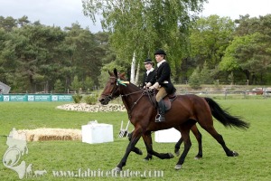 CFCC-2019-01691