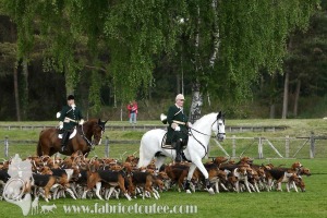 Fontainebleau-2019-0009