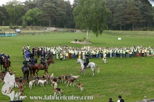 Fontainebleau-2019-0031