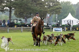 Fontainebleau-2019-0043