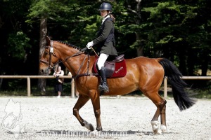 CFCC-2022-00274