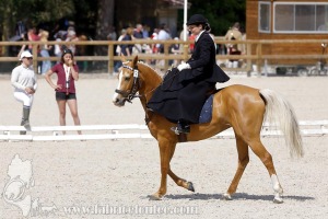 Fontainebleau-2022-0116