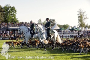 Fontainebleau-2022-0004