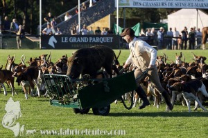 Fontainebleau-2022-0009