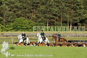 Fontainebleau-2022-0022