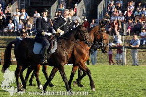Fontainebleau-2022-0042