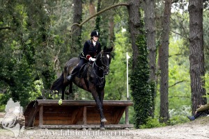 CFCC-2023-01339