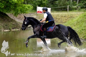 CFCC-2023-01412