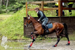 CFCC-2023-01443