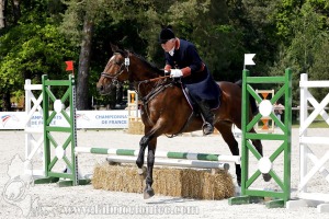 CFCC-2023-00911