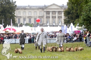 Compiègne Vènerie 2016 0003