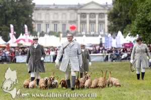 Compiègne Vènerie 2016 0005