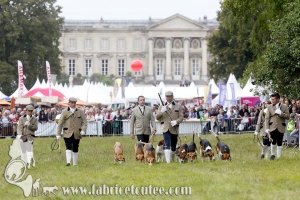Compiègne Vènerie 2016 0014