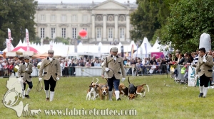 Compiègne Vènerie 2016 0015