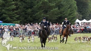 Compiègne Vènerie 2016 0026
