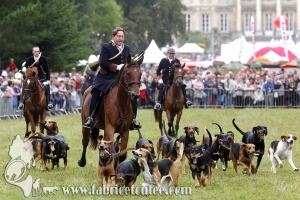 Compiègne Vènerie 2016 0034