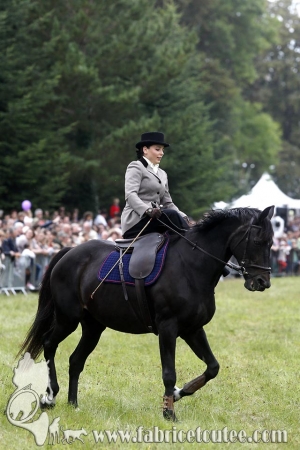 Compiègne Vènerie 2016 0037