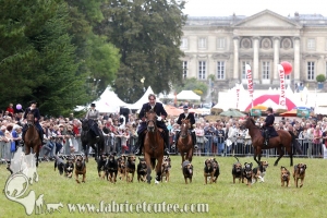 Compiègne Vènerie 2016 0039