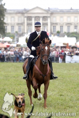 Compiègne Vènerie 2016 0043