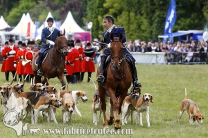 Compiègne Vènerie 2016 0060