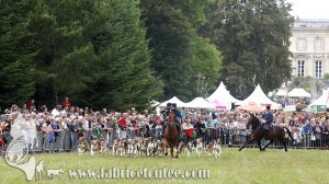 Compiègne Vènerie 2016 0061