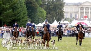 Compiègne Vènerie 2016 0062