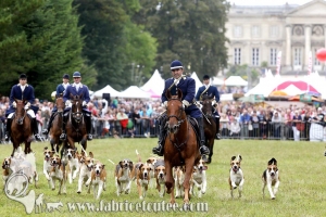 Compiègne Vènerie 2016 0064