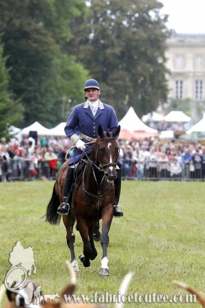 Compiègne Vènerie 2016 0065