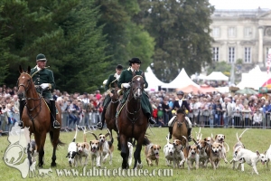 Compiègne Vènerie 2016 0071