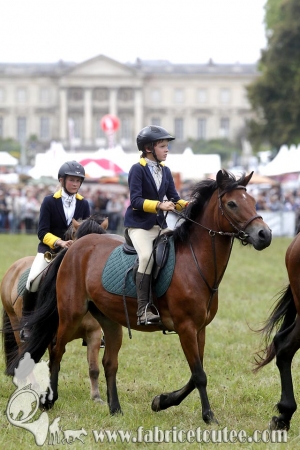 Compiègne Vènerie 2016 0073