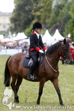 Compiègne Vènerie 2016 0074