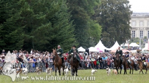 Compiègne Vènerie 2016 0075